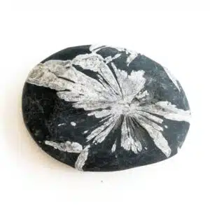 PIERRE DE CHRYSANTHEME - Très joli galet de 68 gr