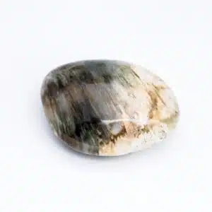 BOIS FOSSILISE de Madagascar - Joli galet de 5.5 cm