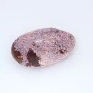 BOIS FOSSILISE de Madagascar - Joli galet de 6 cm