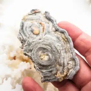 CALCEDOINE FLEUR (lussatite) - surprenante tranche à monter en bijou