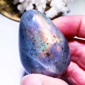 LABRADORITE arc en ciel - bel œuf de 5 cm
