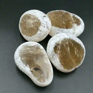 QUARTZ ENFUME - Joli Galet "Emma eggs" ou galets dits "Givrés Gangue" ou encore appelés Quartz "window" de 4,5 cm