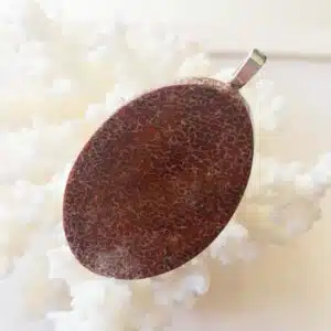 TRANCHE OS DINOSAURE FOSSILISE ovale montée en pendentif de forme ovale - 4,7 cm