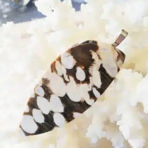 TRANCHE BOIS FOSSILISE "peanut wood" montée en pendentif -13,6 Grs