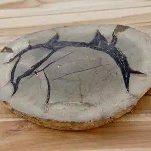 SEPTARIA Sauvage - Belle plaque ornementale - 739 gr