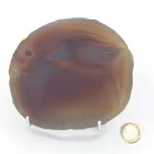 AGATE GRISE - belle plaque de 227 grs