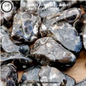 AGATE TURITELLE - Pierre roulée - 2 à 3 cm - 8 à 11 grs