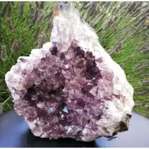 AMETHYSTE Madagascar - druse / amas cristallin sur agate brute- 1752 Grs