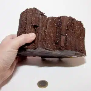 BOIS FOSSILISE - Sequoia - Tranche de branche brute cristallisée de 2156 grs