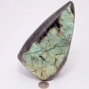 LABRADORITE - Forme libre de 1601 grammes