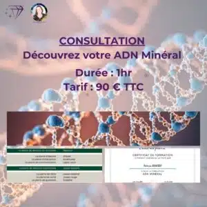 Bilan ADN Minéral