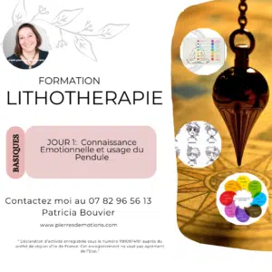 Formation : Modules 1 et 2 -Jour 1