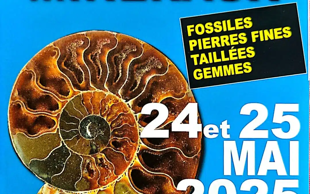 24 & 25 MAI : 38 ème Bourse aux minéraux de Dourdan (91) de 10h à 18h