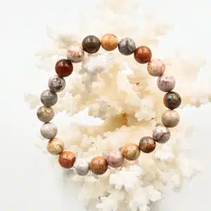 CORAIL FOSSILISE - Bracelet de 8 mm de diamètre