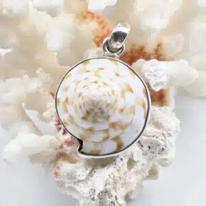NACRE - Très joli Coquillage monté sur Pendentif Argent 925/1000