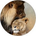 Jérémy Suzan profile picture